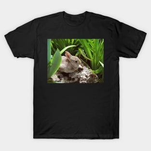 Just Visiting T-Shirt